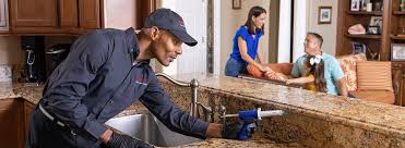 Best Pest Exclusion Services  in Morton, TX